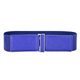 Women's Fasion Waistband Cinch Buckle for Dresses (M,Blue 466-4)
